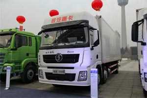 陜汽德龍X3000載貨車蒙城上市