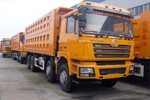 陜汽重卡 德龍F3000 西安康明斯385馬力 8X4 自卸車