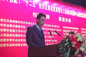江淮汽車榮獲合肥市十二五經(jīng)濟發(fā)展成就貢獻獎