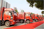解放J6P 8×4質(zhì)惠版載貨車駕臨邢臺