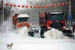 新疆大雪，北奔清雪車再出動！