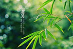 重重務(wù)實(shí)意，拳拳時(shí)代心