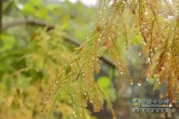 秋季的雨水、暗霜、露水會讓路面很滑