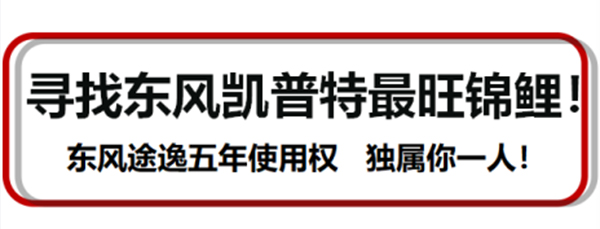 買一送逸活動(dòng)來(lái)啦！