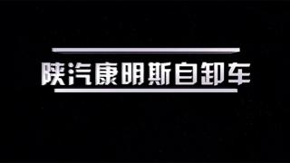 陜汽康明斯自卸車