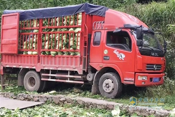 東風輕型車張偉的車在田間拉蔬菜