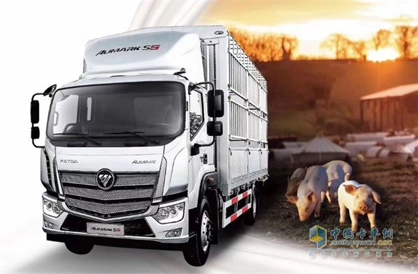 福田歐馬可為生豬運(yùn)輸打造的綠通之星S5倉(cāng)柵車(chē)