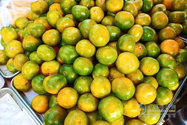 福田祥菱楊姐一年四季賣各類水果，有蜜桔，棗子，葡萄，哈密瓜，蘋果等等