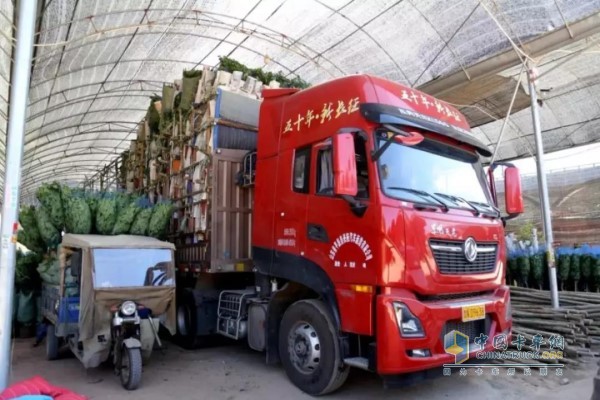 車輛裝好鮮花綠植踏上返程之路，車貨總重仍為49噸