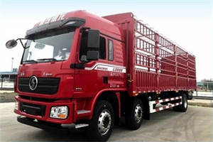 陜汽德龍L3000高頂雙臥載貨車，方方面面 “大”有不同!