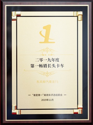 乘龍T5榮獲“2019年度第一暢銷長(zhǎng)頭卡車”