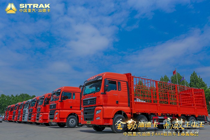 汕德卡8X4載貨車(chē)