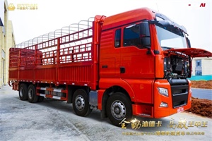 吸引138.43萬人觀看  重汽汕德卡8×4濰柴機(jī)載貨車就是這么厲害！
