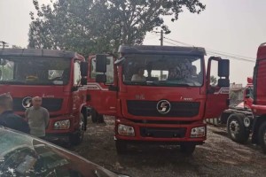 批量交車口碑傳  陜汽重卡火力全開贏市場