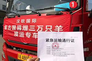 蒙古國送的3萬只羊，東風(fēng)商用車給您接回來啦！