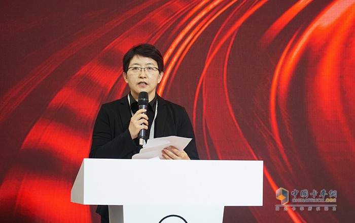 中國國際貿(mào)易促進委員會汽車分會副會長楊琳