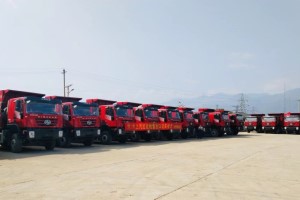 牛年就要做“?！笔拢∩掀t巖掀起多地交車(chē)潮