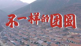 疫情期間英雄物流人 不一樣的團(tuán)圓   