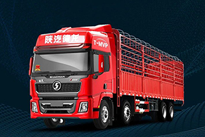 德龍X5000 8×4 綠通版載貨車：天生與時(shí)間為敵！