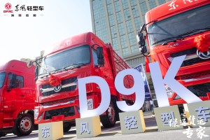 綠通貨運(yùn)專(zhuān)家  東風(fēng)輕型車(chē)D9K登陸“蔬菜之鄉(xiāng)”