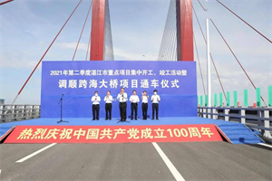 長龍出海!三一混凝土設備助力廣東調(diào)順跨海大橋建設