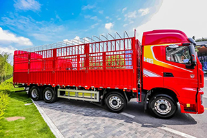 紅巖杰獅H6載貨車，可靠經(jīng)濟(jì)動力，能省，更會賺!