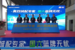 國六藍(lán)牌無憂  江淮康鈴更多車型打造高效城配專家
