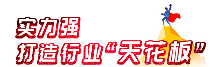 濰柴,發(fā)動機