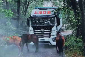 2022年剛過半，上汽紅巖為“場景化”新戰(zhàn)役做好了這些準(zhǔn)備