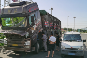 運(yùn)魚(yú)車(chē)拋錨，解放滕州服務(wù)站38℃高溫3小時(shí)緊急救援