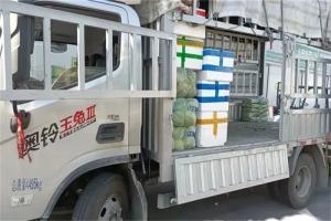 “菜籃子”的絕佳選擇，保定李師傅鐘愛奧鈴玉兔III