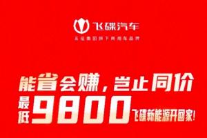 能省會賺   最低9800元飛碟新能源開回家！