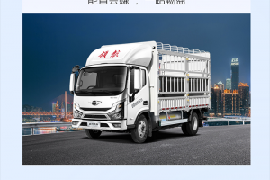 藍(lán)牌輕卡新選擇，領(lǐng)航大G-LNG氣體機(jī)輕卡，能省會賺，創(chuàng)富給力！