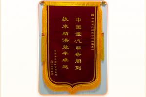 雙線協(xié)同快速響應(yīng)-中國重汽高效服務(wù)贏得客戶贊譽(yù)！