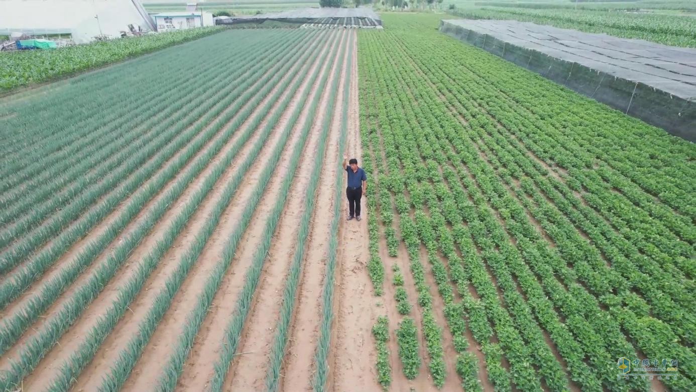 引吭高歌送綠通，他是江淮1卡駿鈴“綠巨人”