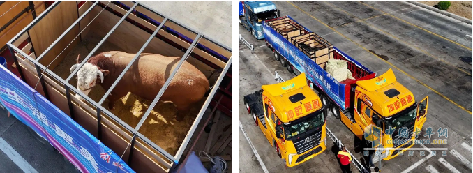 解放卡車：國車送國禮，犇！