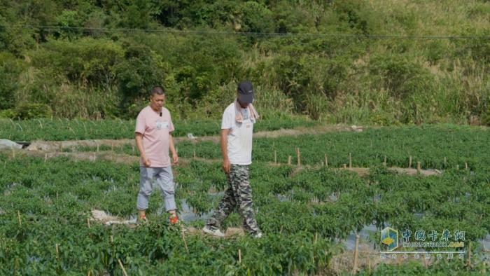 福建南平江師傅：“閩北第一椒”供不應(yīng)求，駿鈴V8跑得快行得穩(wěn)，5年67萬公里像新車