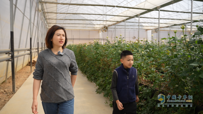 馭電綻芳華，比亞迪與云南花海的綠色交響