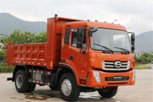時(shí)駿 D750 165馬力 國(guó)五4.2米自卸車(LFJ3180SCG2)