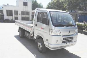 沈陽(yáng)金杯 領(lǐng)順 2.6T 3.4米單排純電動(dòng)欄板微卡載貨車(chē)(SY1030DEV3AK)
