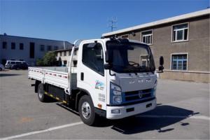 沈陽金杯 運(yùn)盈 4.5T 4.2米單排純電動輕卡載貨車(SY1046DEV2S)