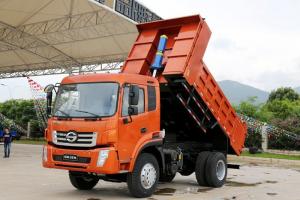 時(shí)駿 D750 185馬力 4X2 4.2米 國(guó)五 自卸車(LFJ3120SCG2)