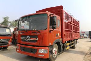 東風(fēng) 多利卡D9 170馬力 4X2 6.8米 國(guó)五 倉(cāng)柵式載貨車(EQ5160CCYL9BDGAC)