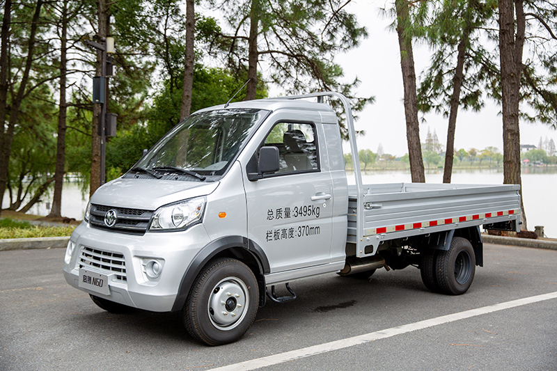 新龍馬汽車 啟騰N60 116馬力 4×2 國(guó)六 欄板載貨車 基本型（FJ1030BAC2）