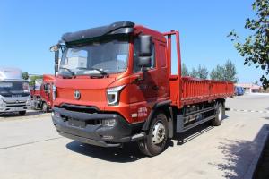 飛碟締途 XH 210馬力 6.75米 國(guó)五 排半欄板載貨車(FD1186P19K5)
