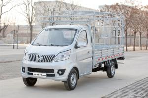 長(zhǎng)安凱程 神騏T10 1.5L 116馬力 汽油 3.01米 國(guó)六 單排倉(cāng)柵式微卡(SC5021CCYDAAA6)